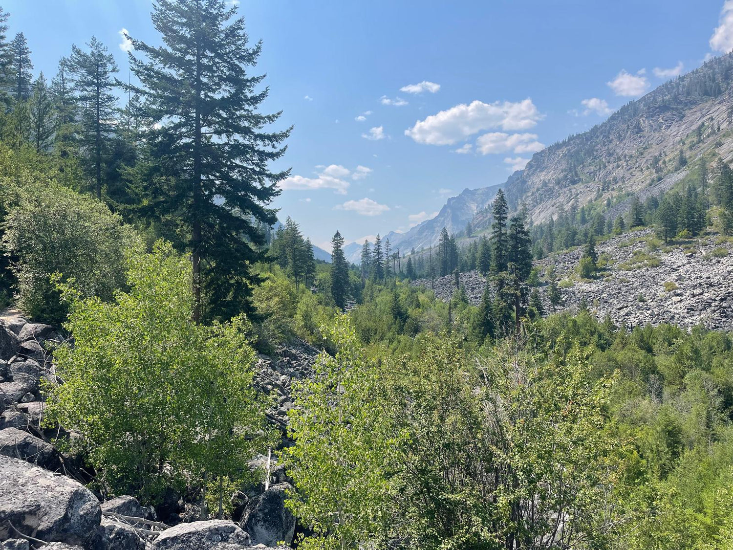 Montana mountains at golden hour